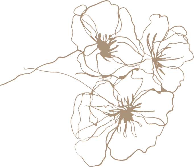 decoration